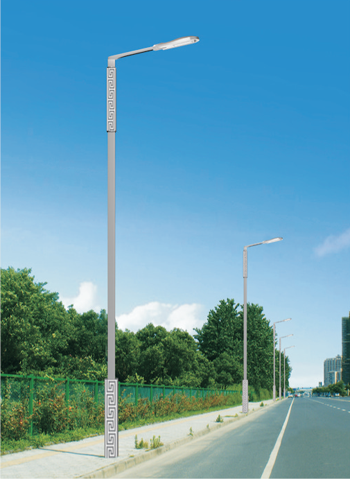 HY-12801 H 8-12m