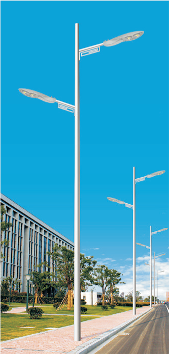HY-13305 H 8-12m