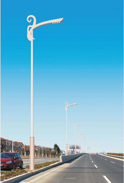 HY-11101 H 8-12m