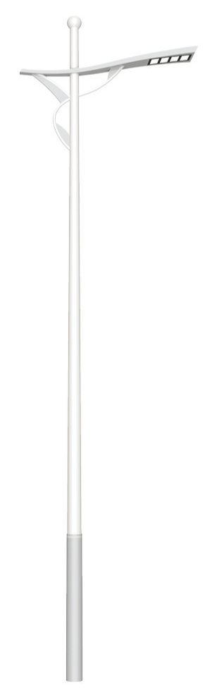 HY-10903 H 8-12m